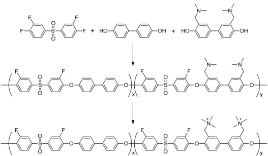 Figure 1-13. Synthesis of anion conductive aromatic ionomer from precursor containing  tertiary amine groups
