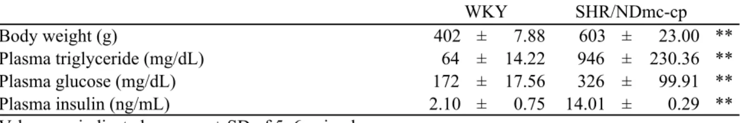 Table 3  Body weight and blood biochemical parameters in WKY and SHR/NDmc-cp rats