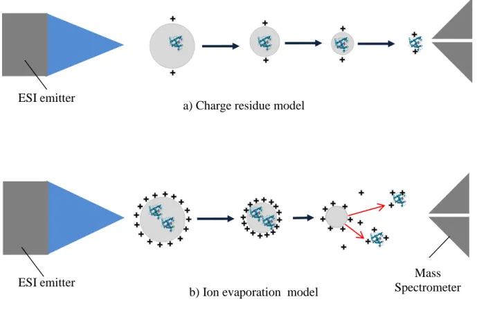 Figure 3.  Two theoretical models that explain the ionization mechanism for the ESI.  