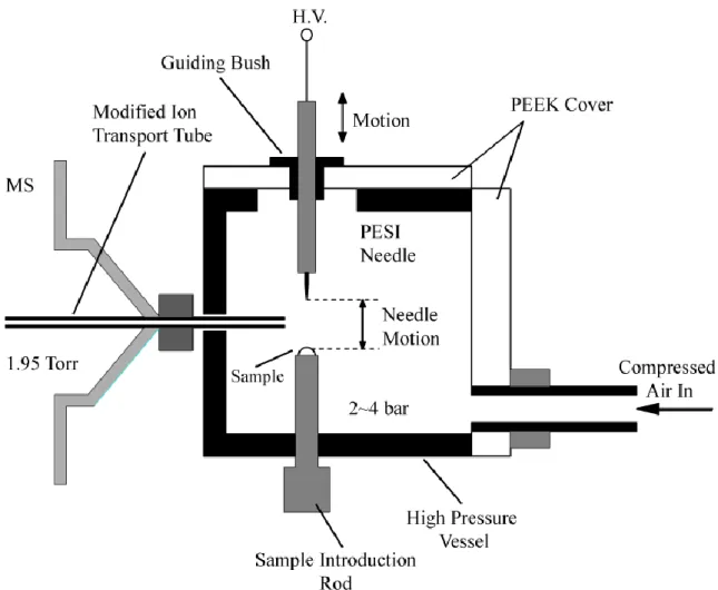 Figure  12.  Schematic  diagram  of  the  high  pressure  probe  electrospray  ion  source