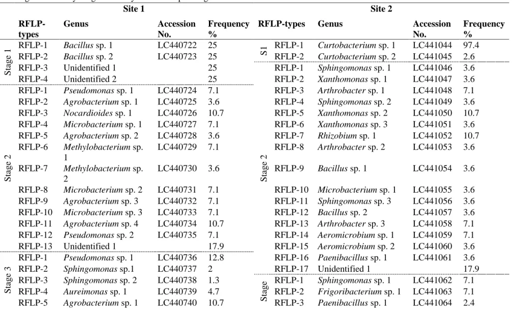 Table 2.2 Frequency of culturable endophytic bacterial isolates; their nearest genus and accession numbers from Site 1 and 2 based on  RFLP