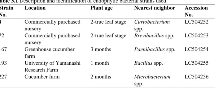Table 3.1 Description and identification of endophytic bacterial strains used. 