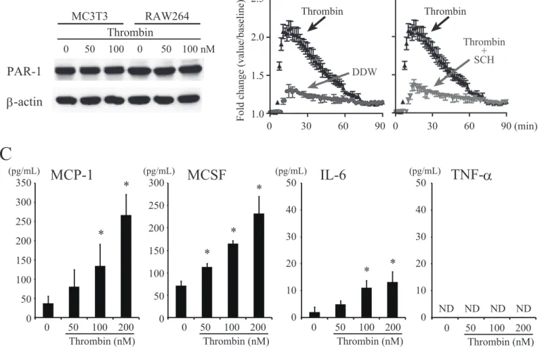 Figure 1ACPAR-1β-actin Thrombin 0      50     100     0       50    100 nMMC3T3RAW264 B IL-6MCSFMCP-135030025020015010050030025020015010050050403020100(pg/mL)(pg/mL)(pg/mL)2.52.01.5