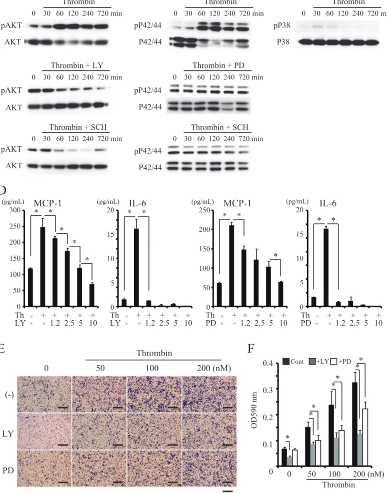 Figure 4ADpAKTAKT Thrombin 0    30   60  120  240  720 minpAKTAKTpAKTAKTThrombin + LY Thrombin + PDThrombin + SCH Thrombin + SCHpP42/44P42/44pP42/44P42/44pP42/44P42/44 pP38P38BCMCP-1300250200150100500(pg/mL)Th   -    +   +    +    +    +LY  -     -  1.2  2