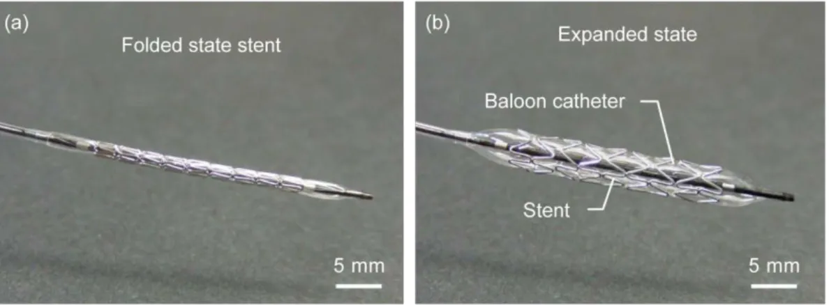 Figure  1-6  Balloon  catheter  and  balloon  expandable  stent:  (a)  folded  state  stent  system  and  (b)  expanded state stent system