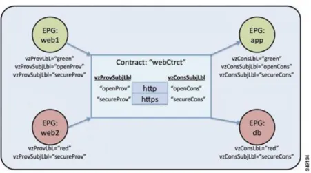 図 2： EPG/EPG 通信を決定するラベルとコントラクト