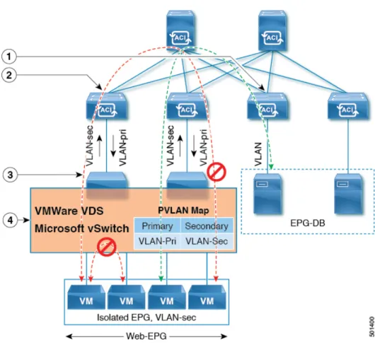 図 7 : VMware VDS または Microsoft vswitch の EPG 内の分離