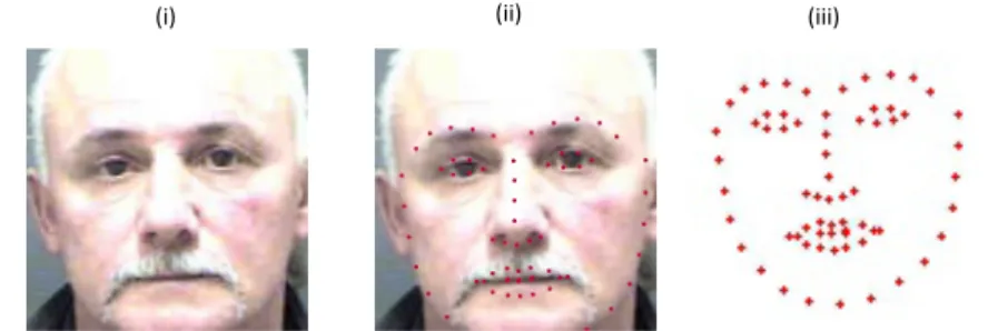 図 2 OpenFace で推定された Face Landmark の例 : (i) 入力顔画像 (ii) 顔画像に Face Landmark を描画した画像 (iii)Face Landmark のみを描画した画像