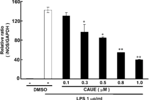 Fig. 5.  Effect of CauE on the level of inOs mrna in LPs- LPs-treated raw 264.7 cells
