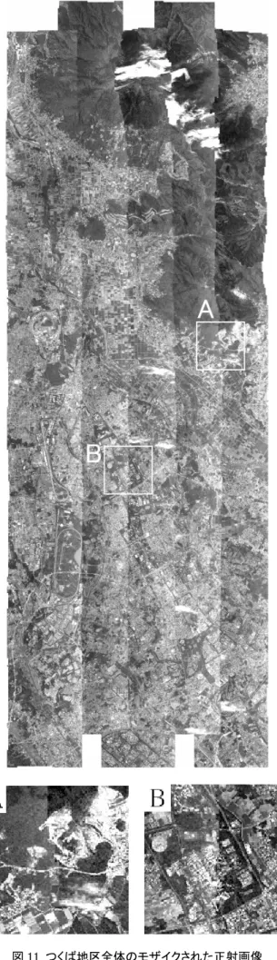 図 11  つくば地区全体のモザイクされた正射画像 
