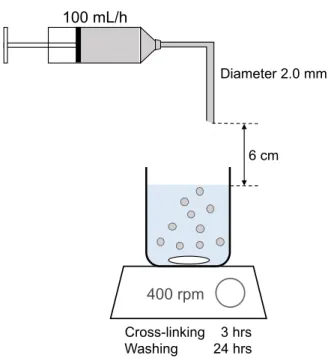 Fig. 1. Experimental set up for the preparation of  PVA/SA/CNF hydrogels.