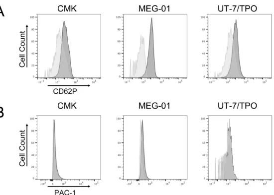 図 7  巨核球系培養細胞の細胞表面 CD62P 発現と GPIIb/IIIa 活性化 