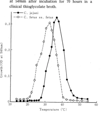 Fig.  2  Growth  of  Campylobacter  at  various  time