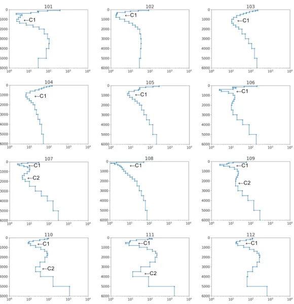 Fig. 5.  1-D  resistivity  structures  at  each  observation  sites.  The  horizontal  and  vertical  axes  correspond  to  the  resistivity (Ωm) and depth (m), respectively.