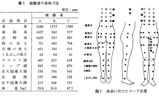 表 1 　被験者の身体寸法 図 1 　体表に付けたマーク位置 図を得るための基準であると同時にパンツ・人体の空間位置関係をみるためのマークを図 1のように付けた。 　次に，耳眼水平自然立位（以後静立と略称）における胴囲位から外果点までの体表を石 膏包帯で採取し，これを前面では乳頭線と腹囲位，後面では肩甲線と腰囲位を基準に平面 展開した。また，パンツに加えるゆとり量を体表伸展量から求めるため，右膝関節 90° 屈曲大腿部前挙（90°屈曲と略称）と蹲踞における大腿最大囲位から外果点までの体表面 を静立時と同様に