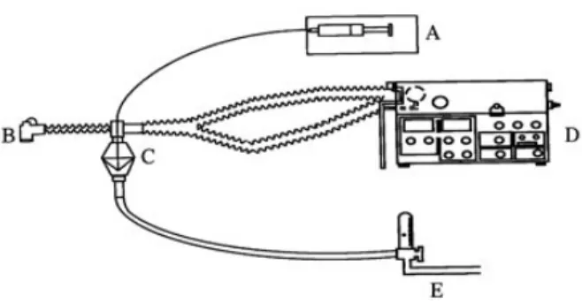 図 5: 人工呼吸器管理中に、持続的なネブライザーをかれている。ネブライ ザー装置 (C) に、シリンジポンプ (A) を用いて薬剤を持続的に注入する。 levalbuterol 近年になり、代表的な β 作動薬である albuterol の R 型の光 学異性体 (levalbuterol) の製剤が発売された。 β 作動薬の気管支拡張作用は主に R 型の光学異性体によって生じ、S 型の 光学異性体は気管支の過敏性を増してしまう、という報告がいくつかあるが、 理論上は R 型の光学異性体のみを吸入すること