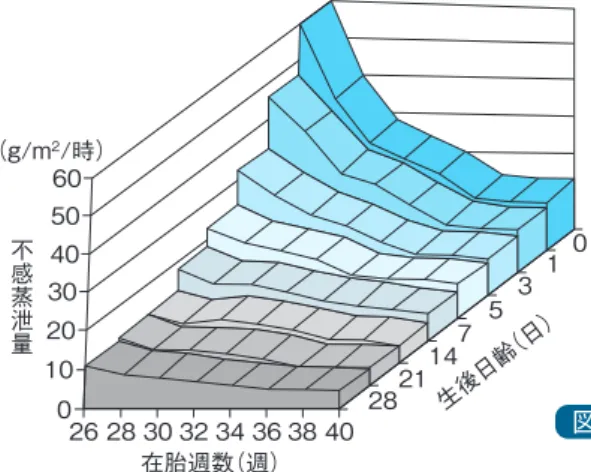 図 1 在胎週数と日齢 28 までの不感蒸泄量の変 化 （Hammarlund ら，1983 より一部改変） 2）1053147282140在胎週数（週）生後日齢（日）3836343230280261020304050（g/m602/時）不感蒸泄量 表 3 出生体重別の日齢 1 における不感蒸泄量 出生体重 不感蒸泄量（mL/kg/日） ＜1,000 g 1,000∼1,500 g ＞1,500 g 60∼8040∼60 20 （Chawla ら，2008 より一部改変） 3） 表 4 低出生体重児の輸液