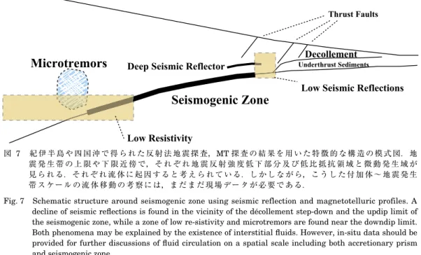 Fig. 7  Schematic structure around seismogenic zone using seismic reflection and magnetotelluric profiles