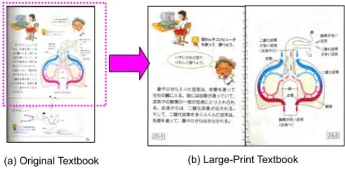 Figure 1. Large-Print Textbook