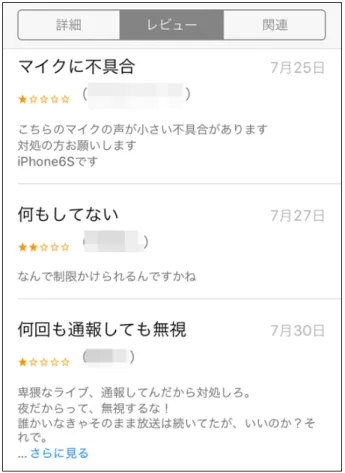 図 2.3 レビューページ 3