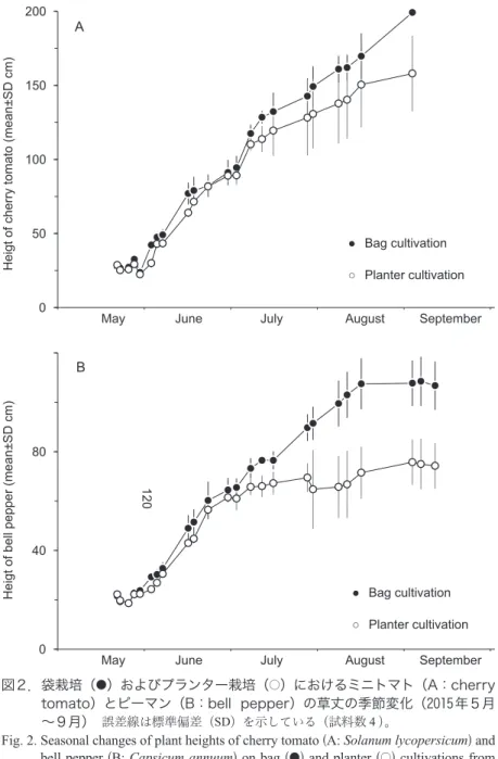 Fig. 2.  Seasonal changes of plant heights of cherry tomato (A: Solanum lycopersicum) and  bell pepper (B: Capsicum annuum) on bag ( ● ) and planter ( ○ ) cultivations from  May to September in 2015