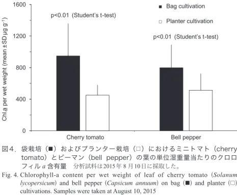 Fig. 4.  Chlorophyll-a  content  per  wet  weight  of  leaf  of  cherry  tomato  (Solanum  lycopersicum)  and  bell  pepper  (Capsicum annuum)  on  bag  ( ■ )  and  planter  ( □ )  cultivations