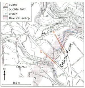 Fig.  3  Surface  deformation  associated  with  the  Mid  Niigata  prefecture  earthquake  in  2004  at  Obirou.