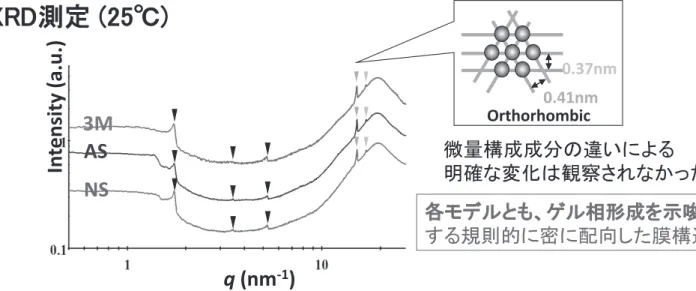 Fig. 7　SCL モデルの物性：ESR スピンプローブ（5-DSA）法を用いた解析 23）