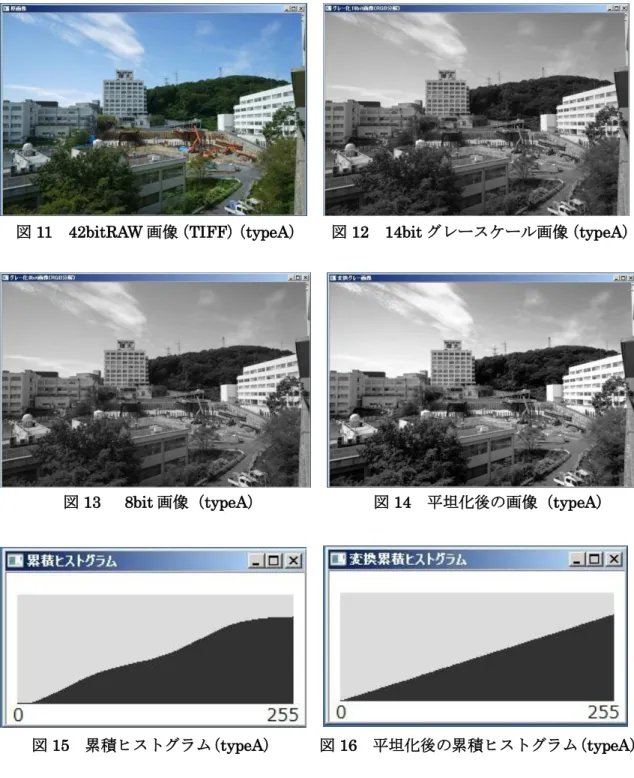 図 11  42bitRAW 画像（TIFF） （typeA）    図 12  14bit グレースケール画像（typeA） 