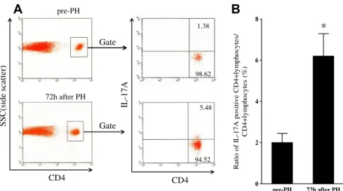 Fig. 7 e Intracellular cytokine staining for IL-17A in CD4 D lymphocytes. (A) Lymphocytes were isolated from the spleen, and IL-17Aeproducing CD4 D lymphocytes were determined by intracellular cytokine staining as described in detail in the Materials and m