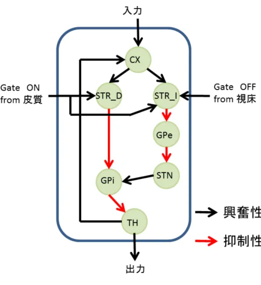 図 4.2: 大脳皮質-基底核-視床ループ. を保持する . 但し , シンボル 1 (2) の後にシンボル 2 (1) が呈示されたらシン ボル 1 (2) の情報は破棄する