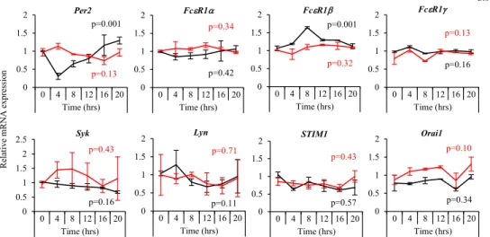 FIG 3. The mRNA expression kinetics of FcεRI-related signaling molecules in wild-type (WT) and Clock-mu- Clock-mu-tated BMMCs