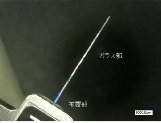 図 1-4：被覆を除去した接続前の光ファイバ 