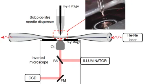 Figure 2.9: Schematic diagram of the experiment. OL, BS, and FM are objective lens, beam splitter, and flipper mirror, respectively