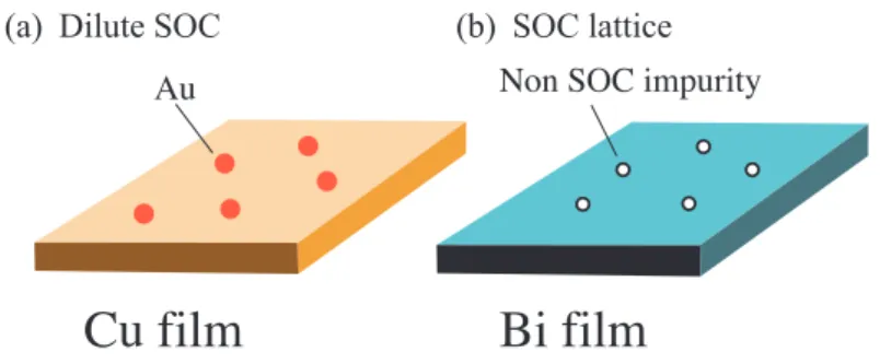 図 3.1.1 希薄 SOC 系と SOC 格子系の概略図． (a) 希薄 SOC 系， (b)SOC 格子系の概略図．