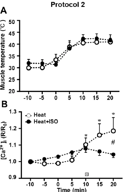 Fig. 18 Protocol 2  熱刺激   +  等尺性収縮   (Heat + ISO)  および熱刺激   (Heat)  の 影響