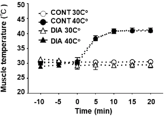 Fig. 22  筋表面温度の変化 