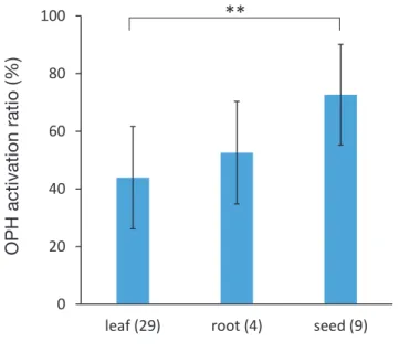 Fig. 2. Influence on the OPH activity use for tea. 