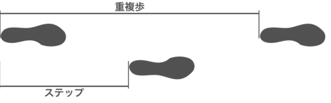 図 2.2 重複歩とステップ . 左下肢の接地から次の接地までが重複歩であり , 右のステッ プは左接地から右接地の距離である . [16] の図を参考に作成。 2.1.2 歩行の相 相による歩行分析は , 各関節で起こる種々の動作の機能的な意義を評価する 