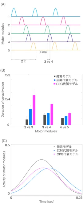 図 4.8 motor module の活動パターン解析 . (A) motor module の活動パターン概念 図 . 1 歩行周期は第 1 から第 5 motor module の活動期間に対応する 