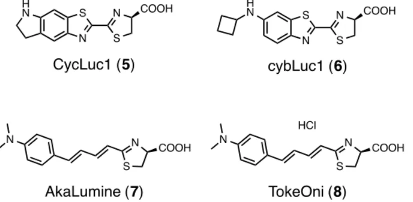 Figure 1-3.  ホタルルシフェリン誘導体の実用化例