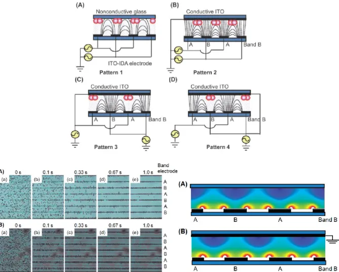 Figure 2.3: Dielectrophoretic force applied to micro manipulation: generation of different  patterns (top) and positioning results and resulting field for the patterns A and B (Bottom) [49] 