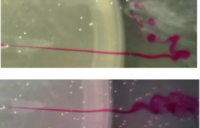 Figure 4.5: Flow behavior observation examples: laminar flow streaming becoming  turbulent
