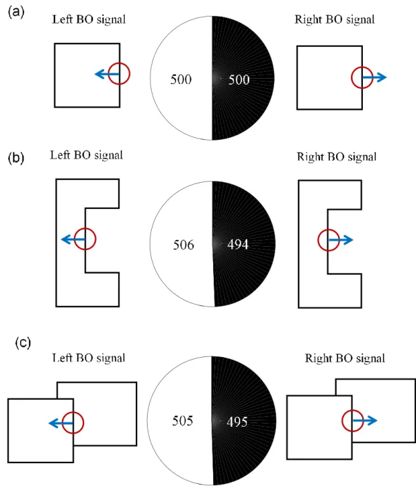 Figure 4.1 Categorization of calculated BO signals  from  randomly assigned initial  vectors