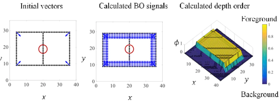Figure  4.16 BO  signals  and  depth  order  for  a  figure  with  a  zero  BO  signal  at  the  border