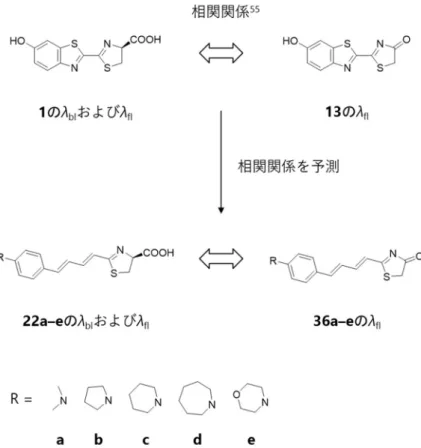 図 2-10  ルシフェリンの発光極大波⾧と蛍光極大波⾧およびオキシルシフェリンの蛍光極大波⾧の相関