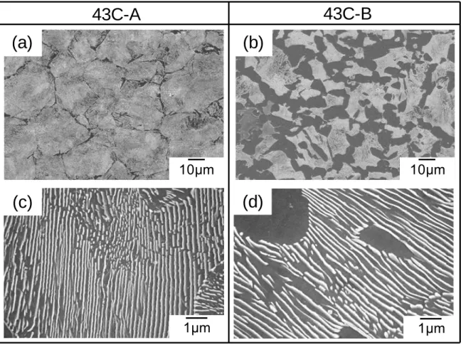 Fig. 2.5 SEM images showing microstructures prepared by different cooling processes  after hot rolling; (a) pearlite microstructure of 43C-A prepared by isothermal 