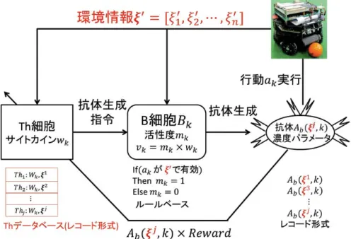 図 3.3: 連続値環境向け免疫型強化学習器概略 3.3 離散型強化学習法との比較 本節では離散型強化学習器と提案する連続型強化学習器の比較を行う．免疫型 強化学習法の特徴はサイトカインシグナルの更新時に報酬を受け取る Th 細胞以外 の細胞も更新が行われるという点であり，アルゴリズムの修正では行動選択時に 適合度を導入し，経験した状態を個別に管理している．これらの修正を行っても 離散型強化学習器の働きと同等になることを示す． まず，はじめに更新プロセスの等価性について述べる．ここでは，連続型・離散 型とも