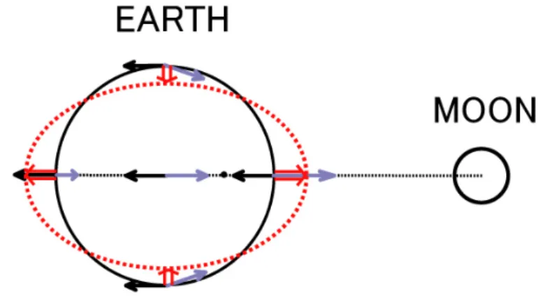 図 3.5: 個体地球潮汐（測地学会 測地学 web 版より）