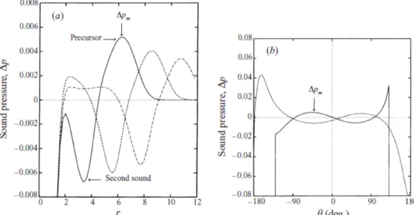 Fig. 1.7 Numerical results obtained by Inoue and Hattori (1999). 